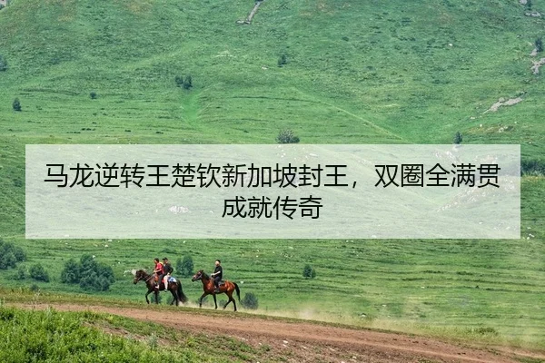 马龙逆转王楚钦新加坡封王，双圈全满贯成就传奇